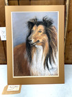 Vtg Margaret O hara Lassie Dog Pastel Art Rough Collie Shelti Shetland Sheepdog