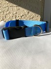 Bulk Dog Collars Medium 10 Pack Baby Blue Us Made Shelters Breeder Vets Rescues
