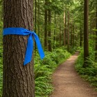 Singhal 12 Pack Flagging Tape - Assorted Colors  1  X 300 Ft Each Survey 3600 Ft