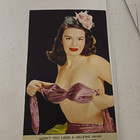 Vintage Pin-up Advertising Ink Blotter Standard Casting Co  Springfield Iowa