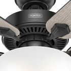 Hunter Fan 52 In Indoor Casual Matte Black Ceiling Fan With Light And Pull Chain