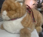 Applause Plush Cat 15  Avanti Jockline Orange Striped Tabby Kitty 1985 Vintage