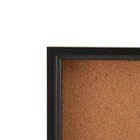 21 X 17-in Black Framed Cork Board