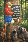 Smokey Bear Only You Can Prevent Wildfires 24  X 16   Embossed Steel Sign