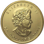 1 2 Oz Canadian Gold Maple Leaf Coin  random Year 