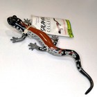 Yonahlossee Salamander Safari Ltd  Tennessee Aquarium Figure 210472 Rare New