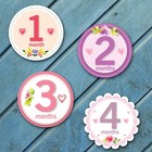 Baby Monthly Milestone Stickers For Girls Floral Holiday Themes All Months