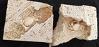 Dont M  ss Th  s Campa  gn    Affordable Priced Double Fossil For Our 1st Year  