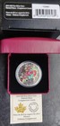 Craigdarroch Castle s Windows  2014- 20 Fine Silver  Stained Glass  Only 7500