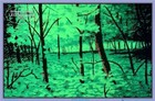 Summer Woods Blacklight Poster - 35  X 23 