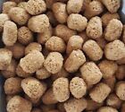 Tortoise Iguana Reptile Food Diet Fresh From Bulk Choose Size   