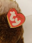 Ty Classic Griddles The Brown Bear 14  Tall Retired Mint With All Tags