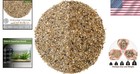 Aquarium Sand