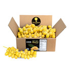 Dolcefrutti Yellow Barhi Dates - Fresh Khalal Dates - Grown In California