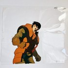 Record Of Lodoss War Parn Animation Art Original Production Cel Japan No Sketch