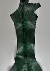 Ostrich Legs Skin Leather In Forest Green Color With Glaze Finish