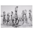 Ikea Symfonisk Picture Frame Cover For Speaker Panel Horses 605 478 65 New