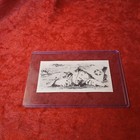 Nva   Vietcong Vietnam War Original  Authentic Trail Death Card  Free Shipping