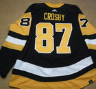 Pittsburgh Penguins Sidney Crosby  Primegreen Jersey Authentic 2022 Mic Canada
