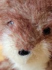 Vtg Applause Calypso Fox Plush Stuffed Animal Soft Toy Lovey 10    Bravo  Woodland