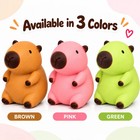 Capybara Squishy Fidget Ball Toy Sensory Stress Relief For Kids Adults