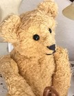 Antique 14  German  Cottonplush Teddy Bear Shoe Button Eyes 1930 s No Steiff