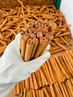 Pure Organic  Ceylon Cinnamon Stick Sri Lanka
