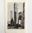 1942 Egypt Heraldic Plants Of Karnak Historical Print Antique Ephemera 8 X 5 