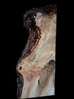Xl Mind Blowing Birdseye Maple Burl Wood Blank  Live Edge  Turning epoxy Wood 