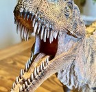 Pnso Ceratosaurus 23    Dinosaur Animal Model Action Figure And Stand