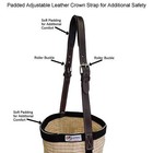 Derby Originals Canvas Feed Bag  Padded Leather Strap  No-spill Flap Design