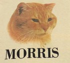 Vtg Morris The Cat T-shirt Small 70s 80s 9lives Food Cotton Anvil