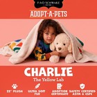 Fao Schwarz 1017540 22  Adopt-a-pets Labrador Plush Dog Stuffed Animal