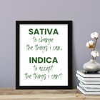 Sativa To Change The Things I Can  Indica To Accept The Things I Can t  Wall Art