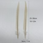 10pcs Off White Pheasant Tails Feathers 10-12  For Hats Decorations Wreath Cr   