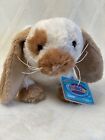 Webkinz Holland Lop Bunny  New With Sealed Code Tag  Hm632  Vhtf Rare Rabbit