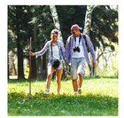 55 In Rustic Wood Walking Stick  Traditional Style Handle  For Men   Women