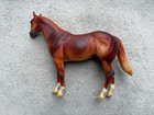 Retired Peter Stone Ideal Stock Horse    vic    Gorgeous Chestnut Sorrel Sr 200 Ish