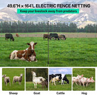 Electric Poultry Netting  49 6  H X 164  L  Electric Chicken Fence With 14 Posts