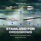 Ballista Bat Reverse L-stock Hunting Crossbow Bundle - Quiver  4x32 Scope   More