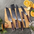 Seido Knives 5-pieces Damascus High-carbon Stainless Steel Master Chef Knife Set