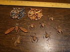 Lot Of 10 Mixed Bugs Spider France Vintage 60s Brass Stampings Findings Jewelry 