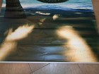 Pottery Barn Teen Coated Paper Hammock  4 W X 8 H Wall  Mural New 
