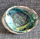 Large Abalone Shell Trinket Dish Smudging Bowl 6  X 5  Iridescent Pearl