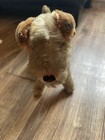  1950 s 10    Steiff Airdale Terrier Dog  terry  Red Collar Euc Mohair