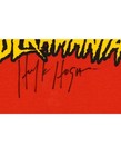 Hulk Hogan Signed Custom Framed  hulkamania  T-shirt Wwe Wcw Wwf Autograph Psa