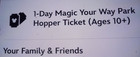 Disney World Ticket 1 Day Park Hopper Magic Kingdom Ak Epcot Valid No Expiration