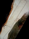 2 Piece Curly Ambrosia Maple Burl Wood Slab  Shotgun  Gun Stock Blank Epoxy Wood