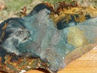 Tcr Blue Mountain Orbicular Jasper   Agate Rough Slab   253 Grams