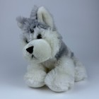 Webkinz Lil Kinz Husky Hs120 No Code